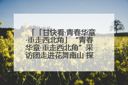 「甘快看·青春华章·重走西北角」“青春华章·重走西北角”采访团走进花舞南山 探寻天水乡村振兴之路