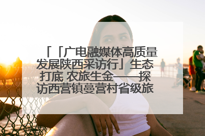 「广电融媒体高质量发展陕西采访行」生态打底 农旅生金——探访西营镇蔓营村省级旅游示范村的振兴密码