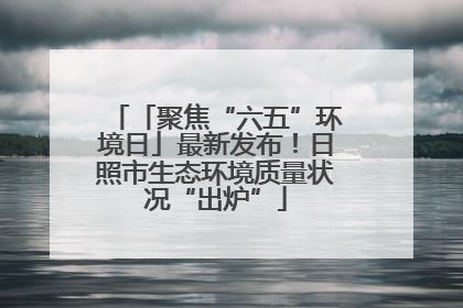 「聚焦“六五”环境日」最新发布！日照市生态环境质量状况“出炉”