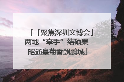 「聚焦深圳文博会」两地“牵手”结硕果 昭通皇菊香飘鹏城