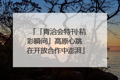 「青洽会特刊·精彩瞬间」高原心跳 在开放合作中澎湃