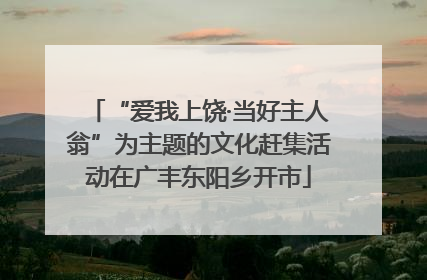 “爱我上饶·当好主人翁”为主题的文化赶集活动在广丰东阳乡开市
