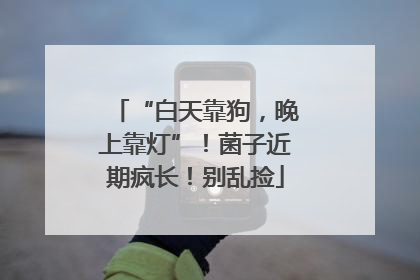 “白天靠狗，晚上靠灯”！菌子近期疯长！别乱捡