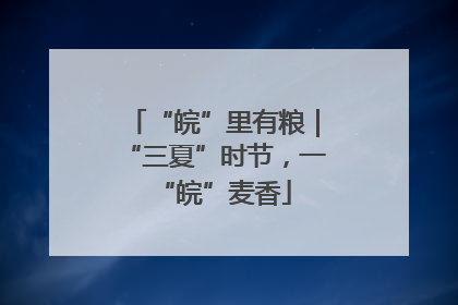“皖”里有粮｜“三夏”时节，一“皖”麦香