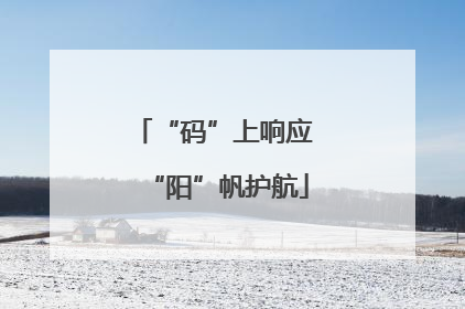 “码”上响应 “阳”帆护航
