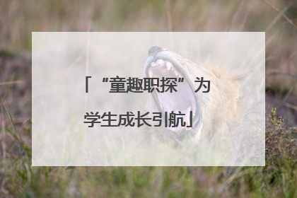 “童趣职探”为学生成长引航