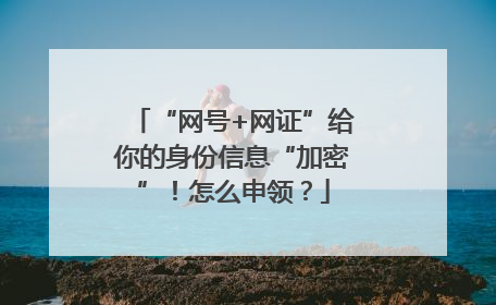 “网号+网证”给你的身份信息“加密”！怎么申领？