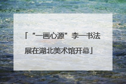 “一画心源”李一书法展在湖北美术馆开幕