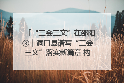 “三会三文”在邵阳③｜洞口县谱写“三会三文”落实新篇章 构建协同联动大格局
