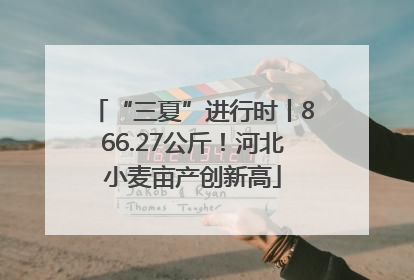 “三夏”进行时丨866.27公斤！河北小麦亩产创新高