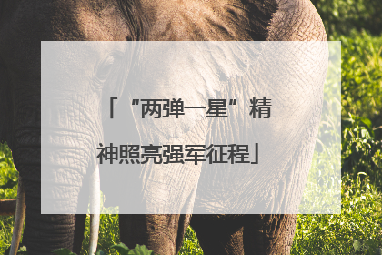 “两弹一星”精神照亮强军征程