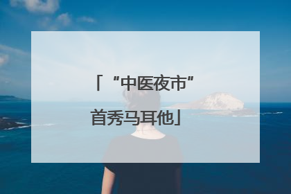 “中医夜市”首秀马耳他