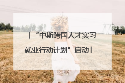“中斯跨国人才实习就业行动计划”启动
