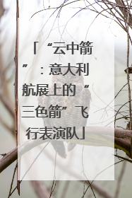 “云中箭”：意大利航展上的“三色箭”飞行表演队