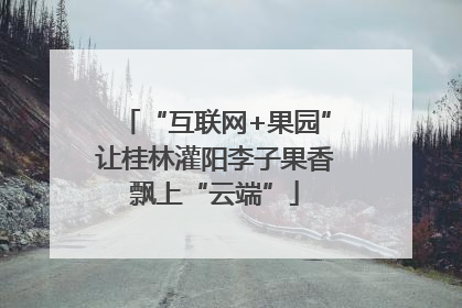 “互联网+果园”让桂林灌阳李子果香飘上“云端”