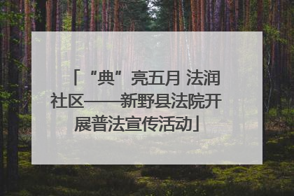 “典”亮五月 法润社区——新野县法院开展普法宣传活动