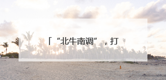“北牛南调”，打造南方肉牛集散地