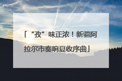 “孜”味正浓！新疆阿拉尔市奏响夏收序曲