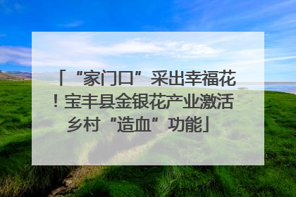 “家门口”采出幸福花！宝丰县金银花产业激活乡村“造血”功能
