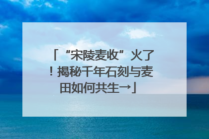 “宋陵麦收”火了！揭秘千年石刻与麦田如何共生→