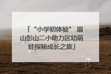 “小学初体验” 眉山彭山二小助力区幼萌娃探秘成长之旅