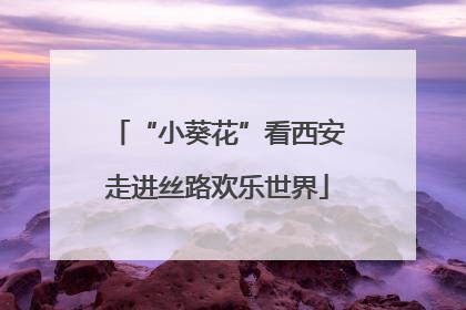 “小葵花”看西安走进丝路欢乐世界