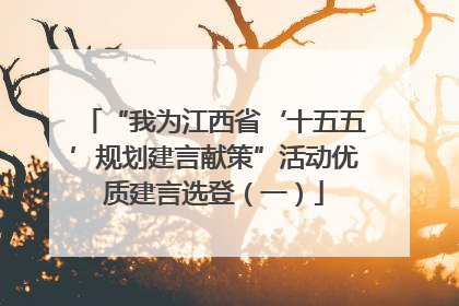 “我为江西省‘十五五’规划建言献策”活动优质建言选登（一）