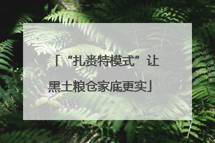 “扎赉特模式”让黑土粮仓家底更实