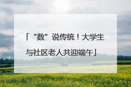 “数”说传统！大学生与社区老人共迎端午