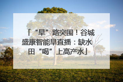 “旱”路突围！谷城盛康智能旱直播：缺水田“喝”上高产水