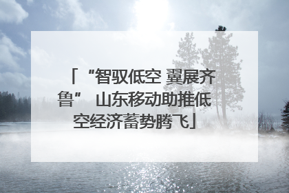 “智驭低空 翼展齐鲁” 山东移动助推低空经济蓄势腾飞