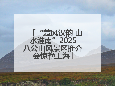 “楚风汉韵 山水淮南”2025八公山风景区推介会惊艳上海