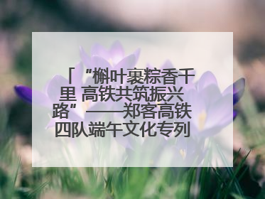 “槲叶裹粽香千里 高铁共筑振兴路”——郑客高铁四队端午文化专列温情启程