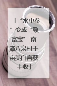 “水中参”变成“致富宝” 南漳八泉村千亩茭白喜获丰收