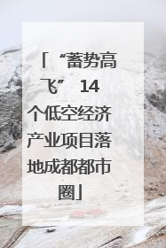 “蓄势高飞” 14个低空经济产业项目落地成都都市圈