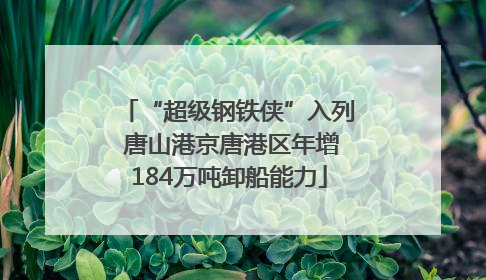 “超级钢铁侠”入列 唐山港京唐港区年增184万吨卸船能力