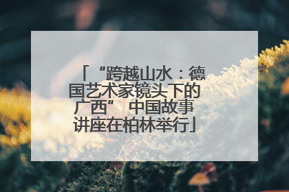 “跨越山水：德国艺术家镜头下的广西” 中国故事讲座在柏林举行