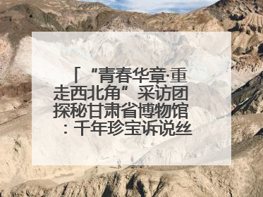 “青春华章·重走西北角”采访团探秘甘肃省博物馆:千年珍宝诉说丝路辉煌