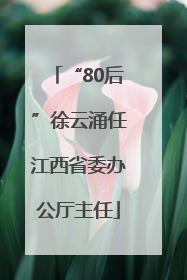 “80后”徐云涌任江西省委办公厅主任