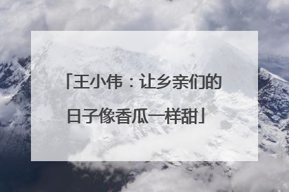 王小伟：让乡亲们的日子像香瓜一样甜