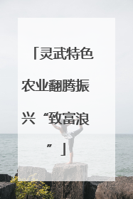 灵武特色农业翻腾振兴“致富浪”