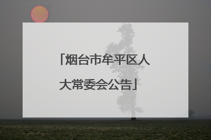 烟台市牟平区人大常委会公告