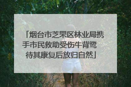 烟台市芝罘区林业局携手市民救助受伤牛背鹭 待其康复后放归自然