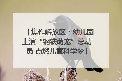 焦作解放区：幼儿园上演“钢铁萌宠”总动员 点燃儿童科学梦
