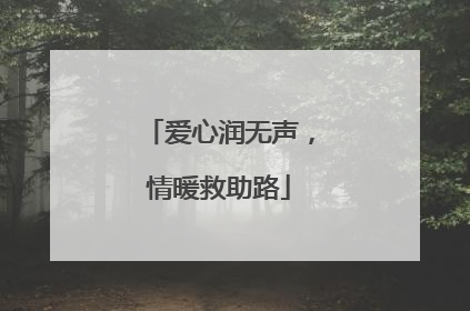 爱心润无声，情暖救助路