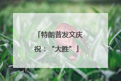 特朗普发文庆祝：“大胜”