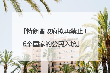 特朗普政府拟再禁止36个国家的公民入境