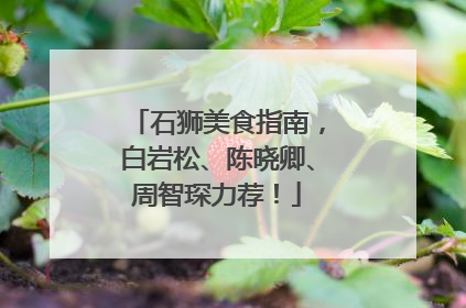 石狮美食指南，白岩松、陈晓卿、周智琛力荐！
