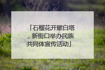 石榴花开耀白塔，新街口举办民族共同体宣传活动