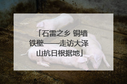 石雷之乡 铜墙铁壁——走访大泽山抗日根据地
